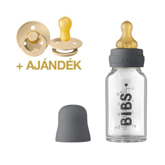 BIBS cumisüvegszett - grafit (110 ml) + AJÁNDÉK BIBS Colour cumi