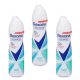 Rexona Advanced Protection Shower Fresh izzadásgátló aeroszol (3x150 ml)